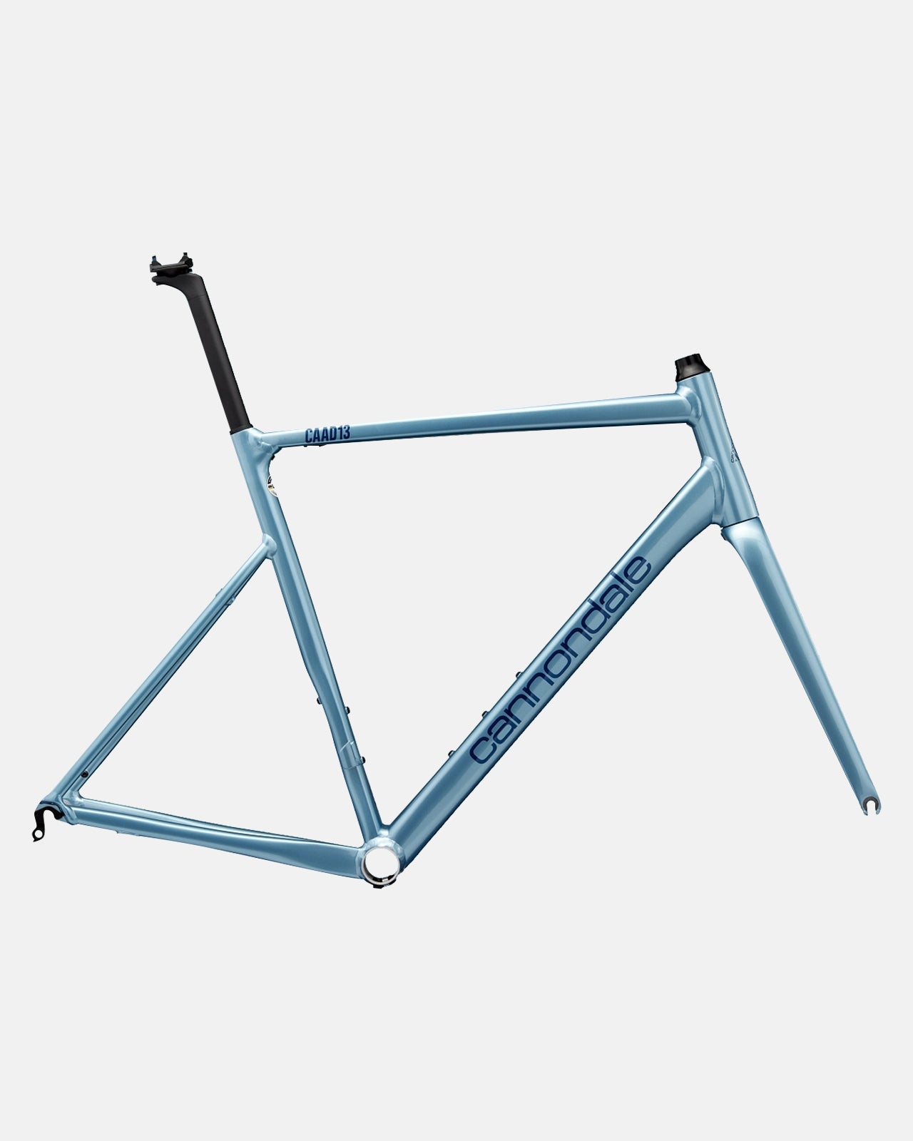 Cannondale caad12 blue sales book